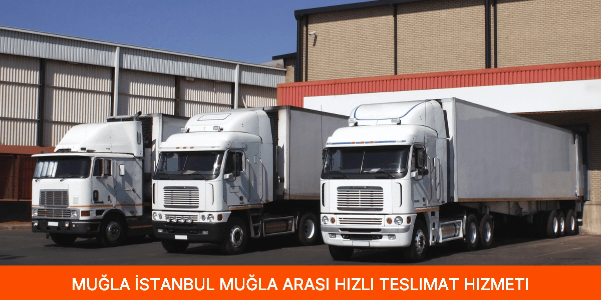 İstanbul Muğla Arası Hızlı Teslimat Hizmeti
