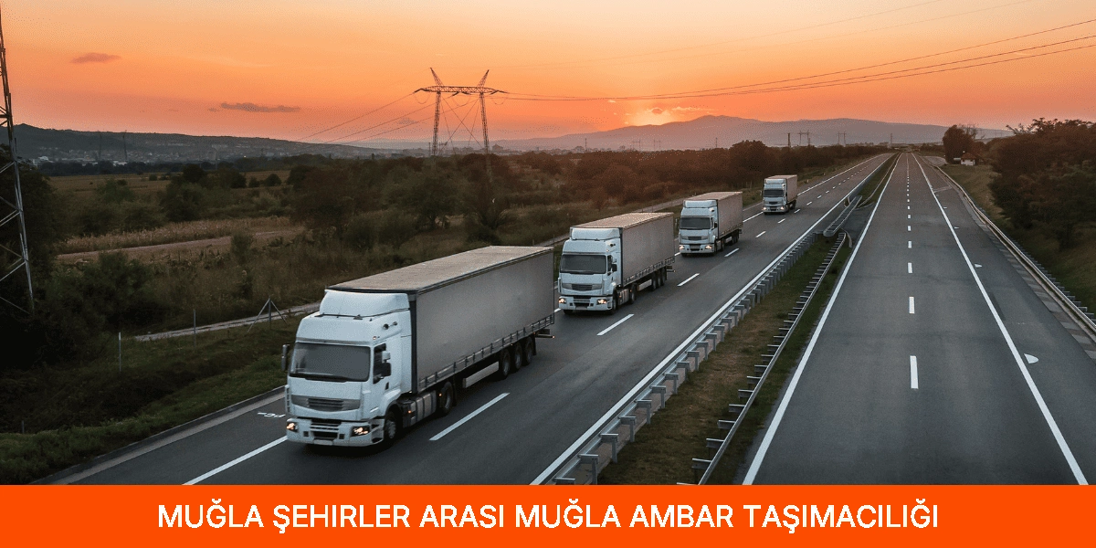 Şehirler Arası Muğla Ambar Taşımacılığı
